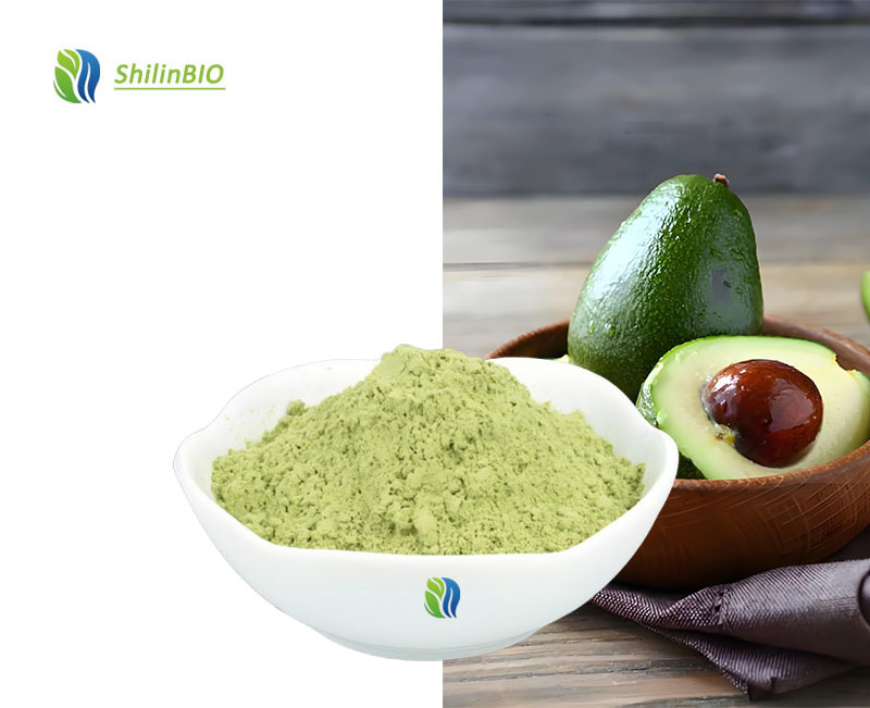 Food Grade Bulk Wholesale Water Soluble Avocado Fruit Powder Cold Pressed Avocado Oil Powder