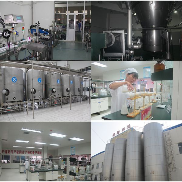 Сухое молоко козы еды протеина A2 выпивая съестное сырцовое