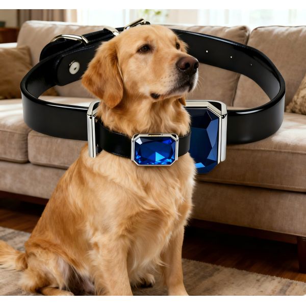 Black Leather Dog Collar for Dogs Blue Gem Shaped GPS Tracker Adjustable Metal Buckle Real Time Tracking