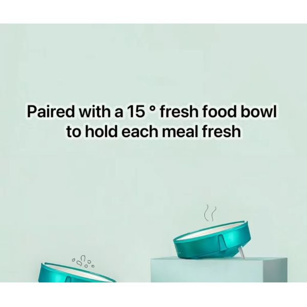 Customizable 220ml Biodegradable Disposable Tableware Bowl for Dogs Cats and Pets