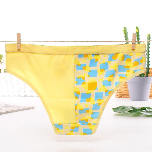 Funny Printing Nylon China Supplier Lady Underwear