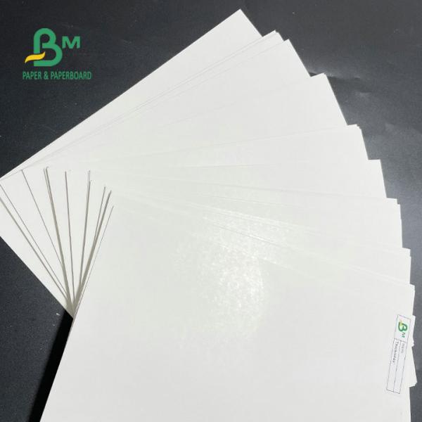 One Side Coated Freezer Paper Roll 275gsm 325gsm For Packing Food