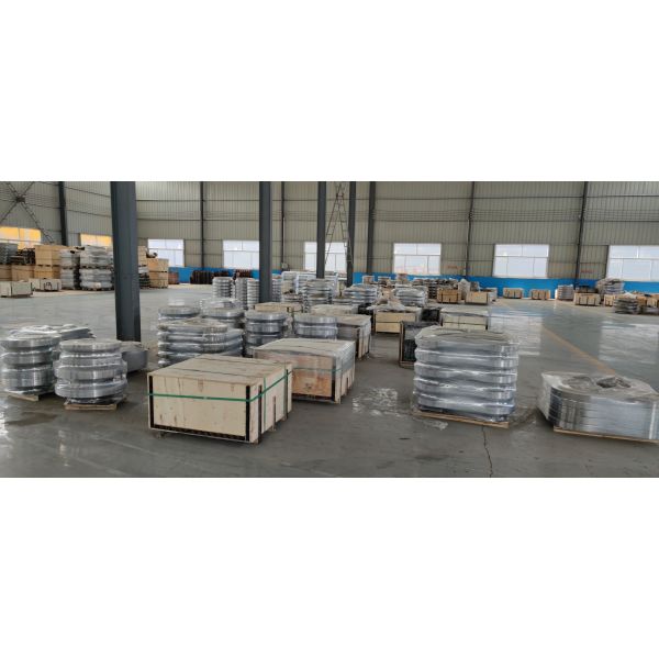 DN15-DIN600 Stainless Steel Pipe Fittings Flanges High Pressure Flange
