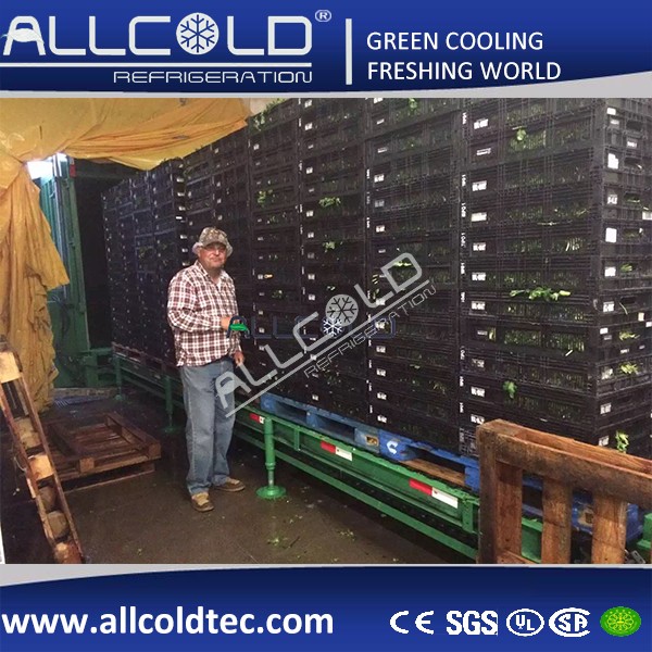 Быстрое быстрое охлаждая свежее горшечное растение срезанных цветков свежее производит паллеты ремесла воздуха машины 3 вакуума воркуя