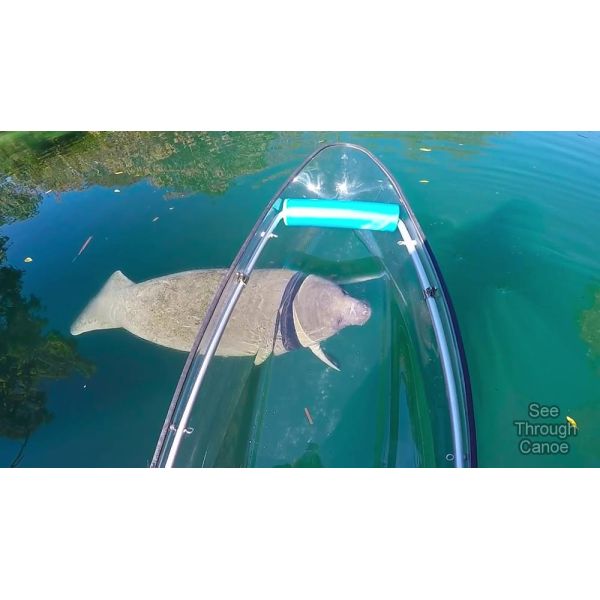 Durable Clear Plastic Kayak Fishing 1 Person Lake Canoe Jet With Pedals And Seat