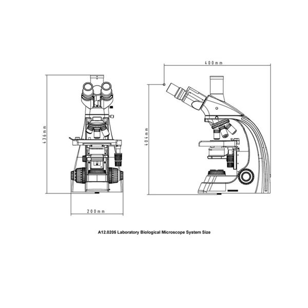 ocular binocular del microscopio biológico A12.0205 WF 10X de la lámpara del halógeno de 12V 20W
