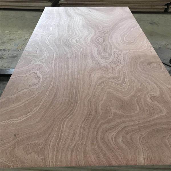 Package E1 Glue 1220x2440mm Sapele Faced Plywood