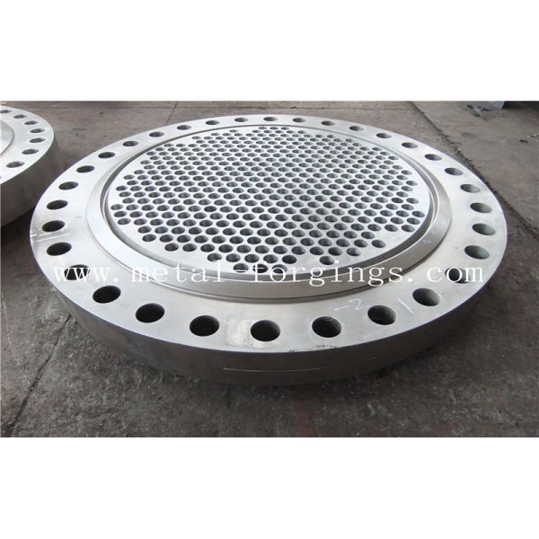 Max3000mm Stainless Steel  Or Carbon Steel Or Alloy Steel  Forged Disc