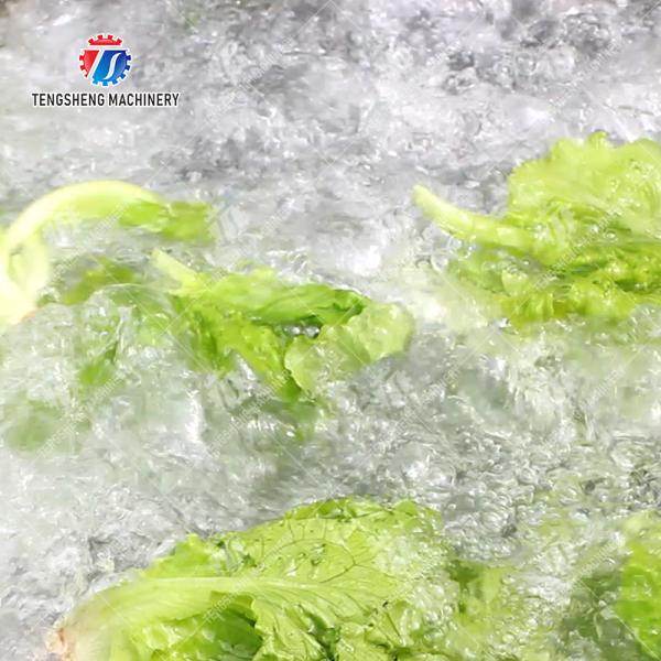 Fruit and vegetable washing and vibrating drying production line Fruit Vegetable FOOD processing production Machine Versatile and Durable Fruit Vegetable Processing Line for Your Business Processin