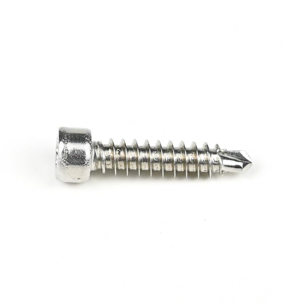 304 Stainless Steel Round Fillister Head Screw M6 Torx Screw with Customized Support