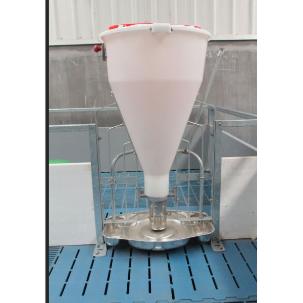 Acier inoxydable et conducteur automatique en plastique de porc, conducteurs secs humides de porc