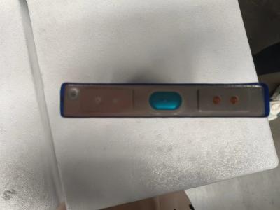 Sistema de armazenamento de energia montado na parede 3,2v 59Ah LiFePO4 Células de bateria 170wh/Kg