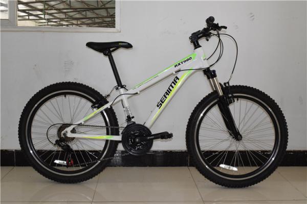 Made in China CE standard 24 inch alumimium alloy 21 speed mountain bike/bicycle/bicicle for Europe market