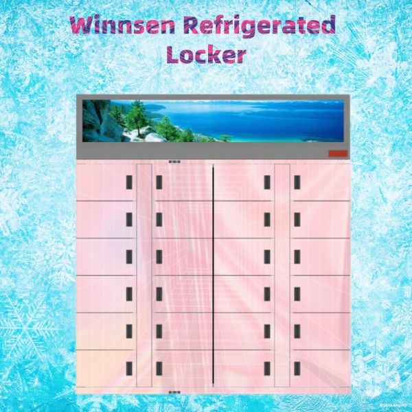 Шкаф Winnsen умный Refrigerated замороженный рынок товаров шкафчика 60Hz свежий используя
