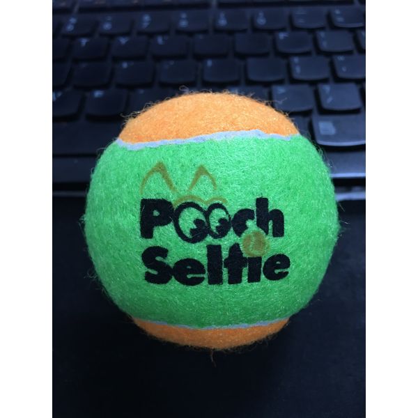 dog toy ball tennis sports dog toy ball