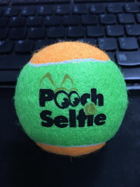dog toy ball tennis sports dog toy ball