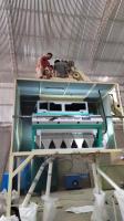 Machine en plastique de trieuse de couleur de cartes de carte PCB pour la couleur verte