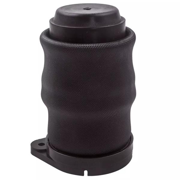 W638 Air Spring traseira