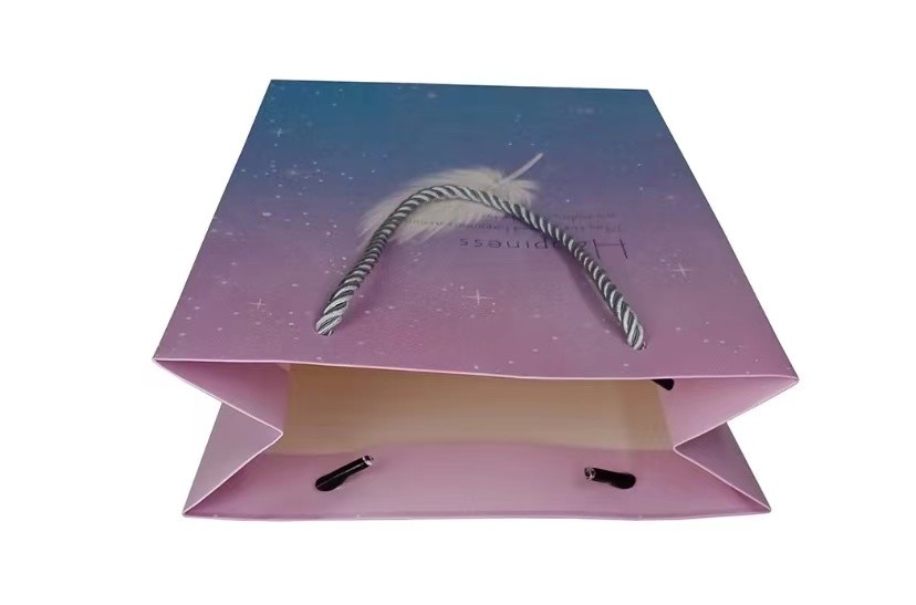 Gravure 27cm*20.3cm*11cm печатая косметические бумажные мешки с кнопкой