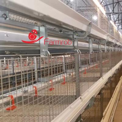 3 Tiers 4 Tiers Broiler Chicken Cage System Al-Zn Alloy Mesh Broiler Rearing Cage