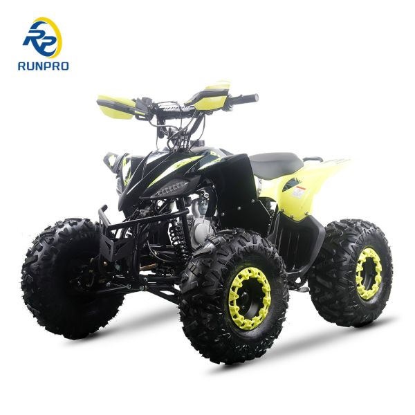 Powerful 125cc Gas Fuel ATV Quads with 2WD Driving Type and Interesting Features
