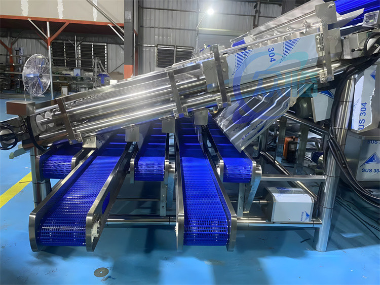 Fresh Prawn Washing Rolling Sorting Machine 1200KG Shrimp Grader Machine