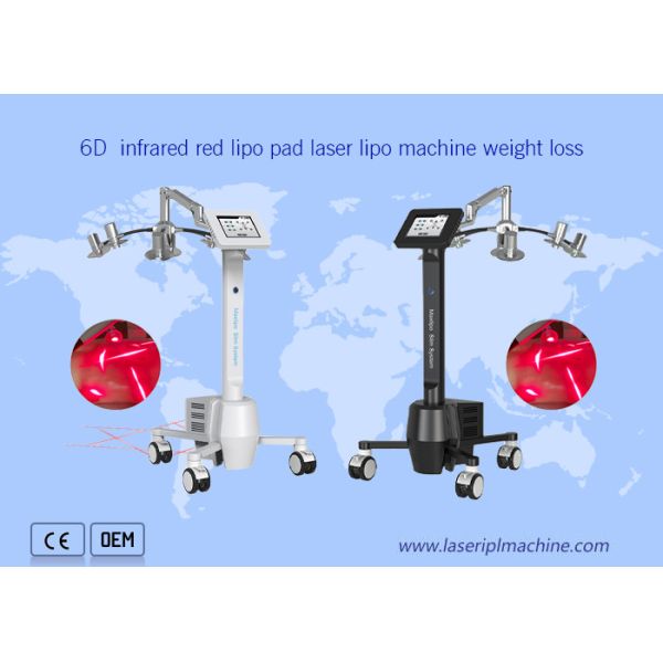 удаление целлюлита потери веса машины лазера Lipo зеленого света 532nm
