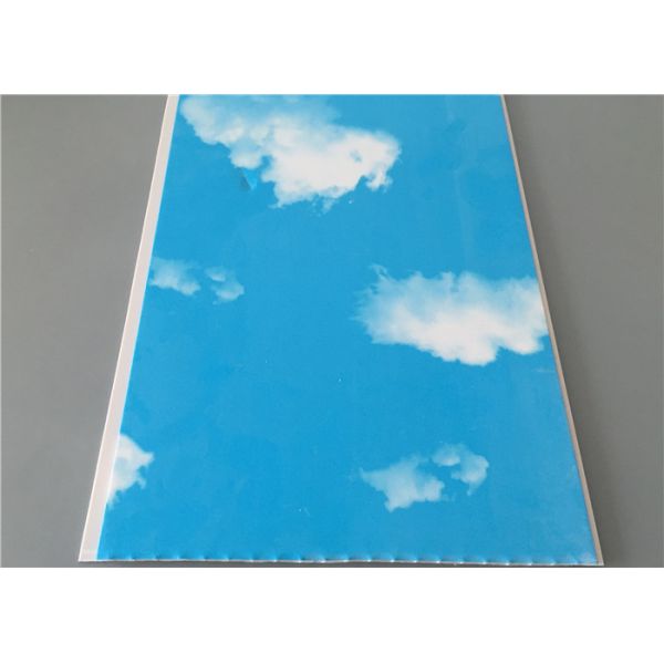 Blue Sky Garage Organization Wall Panels , Laminate Wall Panels For Bathrooms