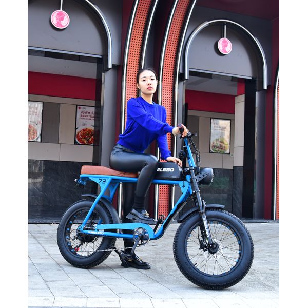 Digital Ebike Hub Motors Bicycle Electric Fat Tire Bike 7speed MTB E-bike Retro Electric Cycle 48V 500W 4.0 Inch Tire E Bike