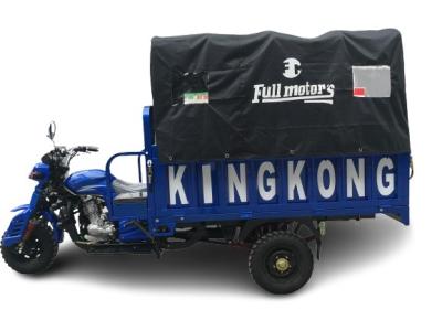 250cc Cargo Motor Tricycle 1.4x2.4m Electric Trike 5.00-12 Tyre Goods Shed