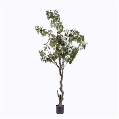 Árvore falsificada de Granatum do Punica