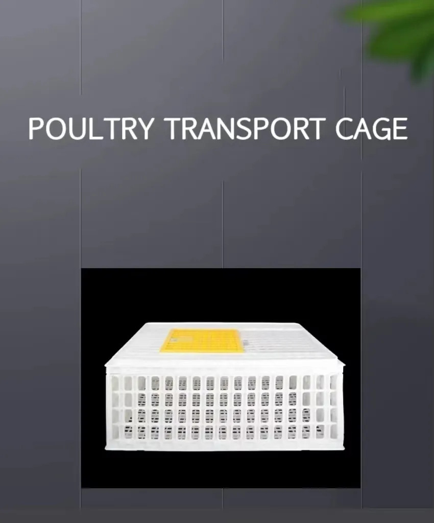 Broiler Chicken Transport Boxes High Ventilation Chicken Carrier Crate For Secure Shipping