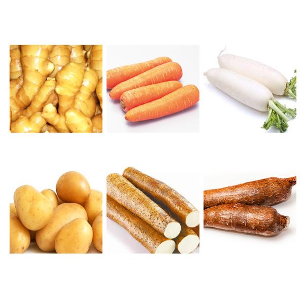 Multi Brush Potato Peelers a Cassava Mussel Cleaning Shrimp Washing Machine Washing and Peeling Vegetables 2 Years CN;HEN SUS304