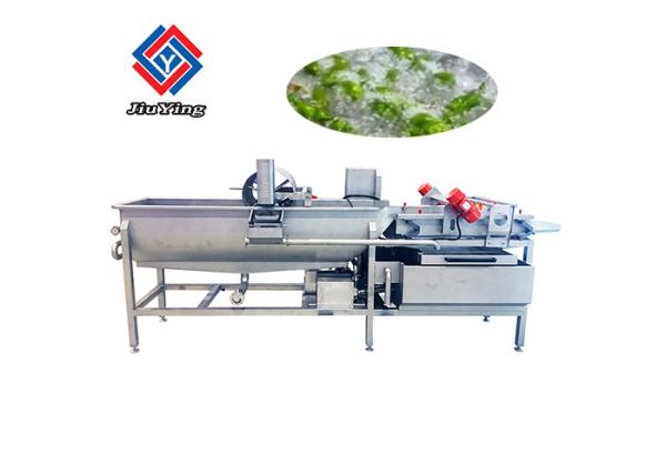800-1000kg/H Vegetable Fruit Washing Machine Salad Processing Equipment
