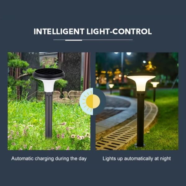 IP65 Waterproof Solar Powered Lawn Light for Backyard Decoration