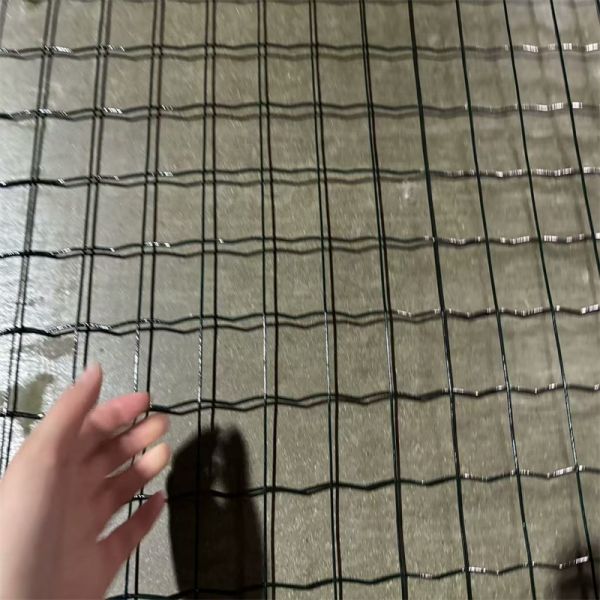 Outdoor Euro PVC-Coated Welded Wire Mesh Roll Black Green Holland Farm Fencing for Bending Cutting Steel Wire Mesh