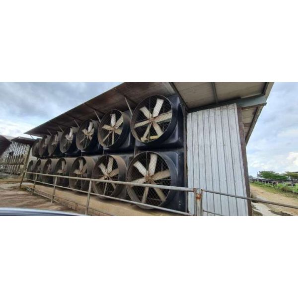 Большой воздухоохлаждающий циркуляционный промышленный выхлопный вентилятор Алюминиевое лезвие Вентилятор птицеводческой фермы