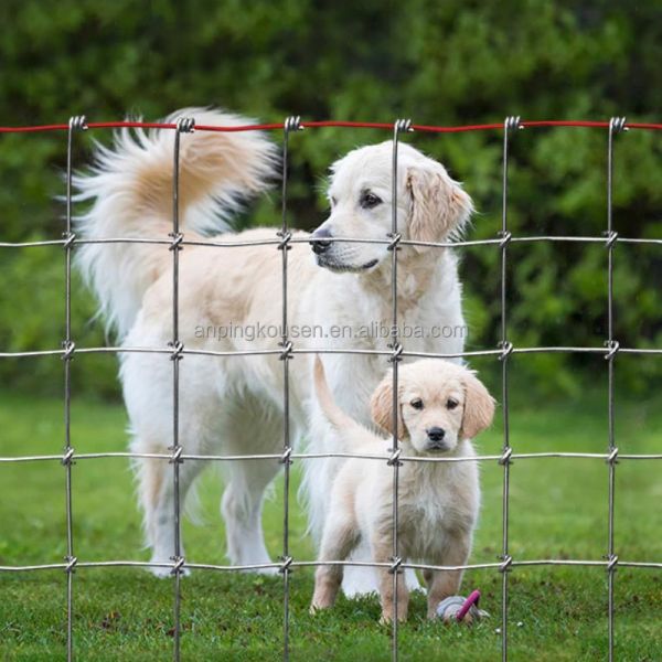 Hot Dipped Galvanized Fixed Knot Woven Game Wire Farm Fencing for Pasture Goat Cow Grassland