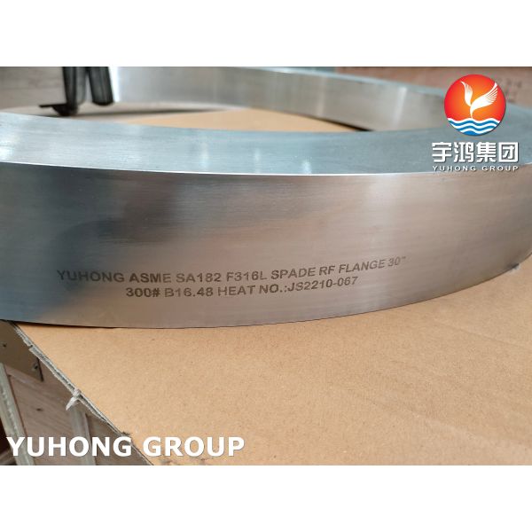 ASME SA182 F317L Кованые кольцевые распределители из нержавеющей стали