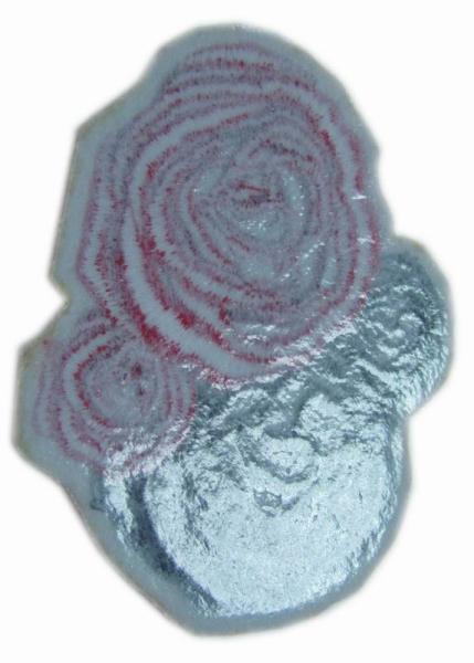 Flower Twill Fabric 100% Embroidery Iron On Patch
