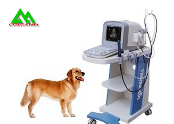 Portable Full Digital Veterinary Ultrasound Scanner For Cattle Caw Dog Animal