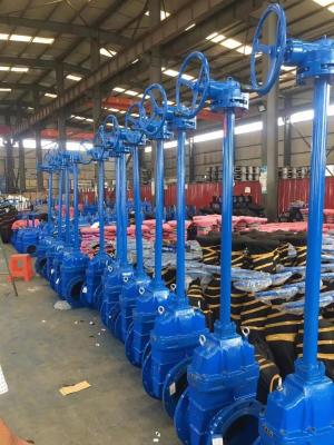 DN80 DN100 Extension Stem Gate Valve Customized CE Approval