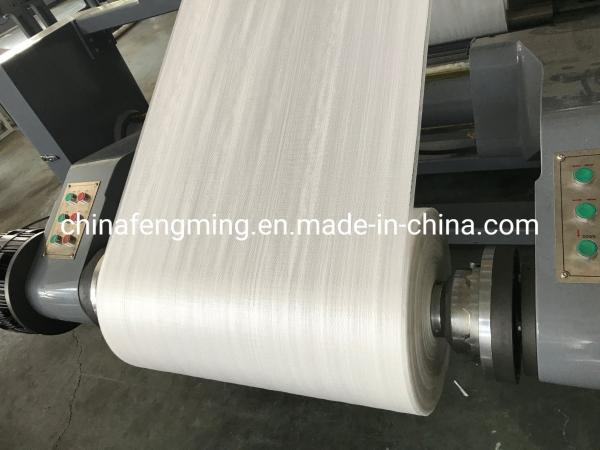 1524 mm 4 couleur Flexo machine d'impression non tissée personnalisée Énergie efficace