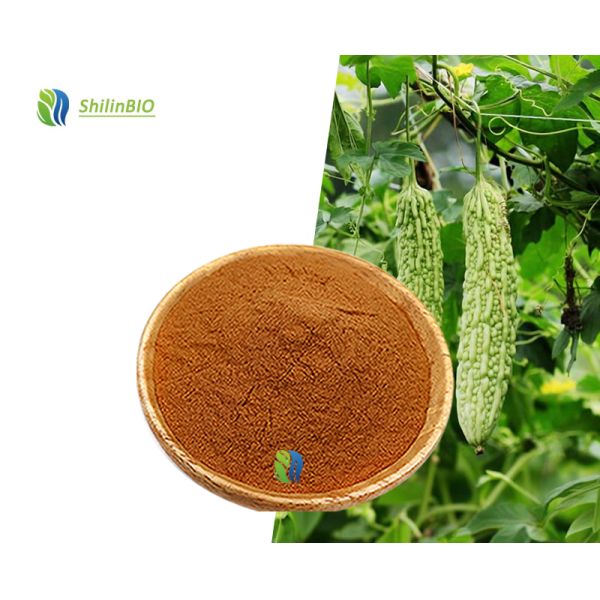 Poudre de peptide de melon amer de qualité alimentaire - Poudre de peptide à petites molécules