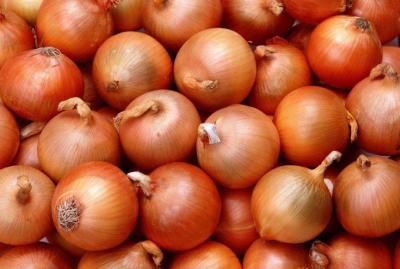 6cm Spicy Osteoporosis Proof Natural Fresh Onion