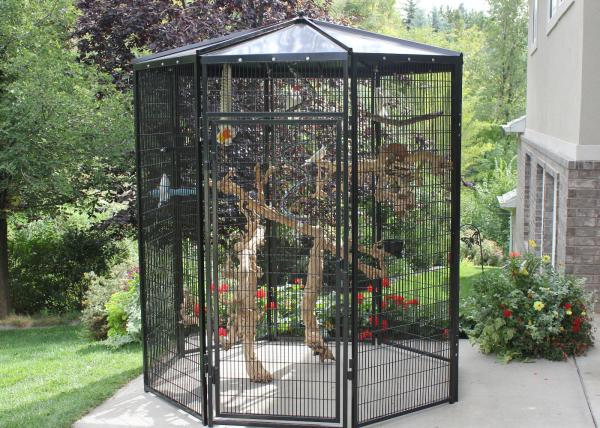 Customized Large Outdoor Bird Aviary 8' Hexagon Cheek'S 3.2mm Wire Dia