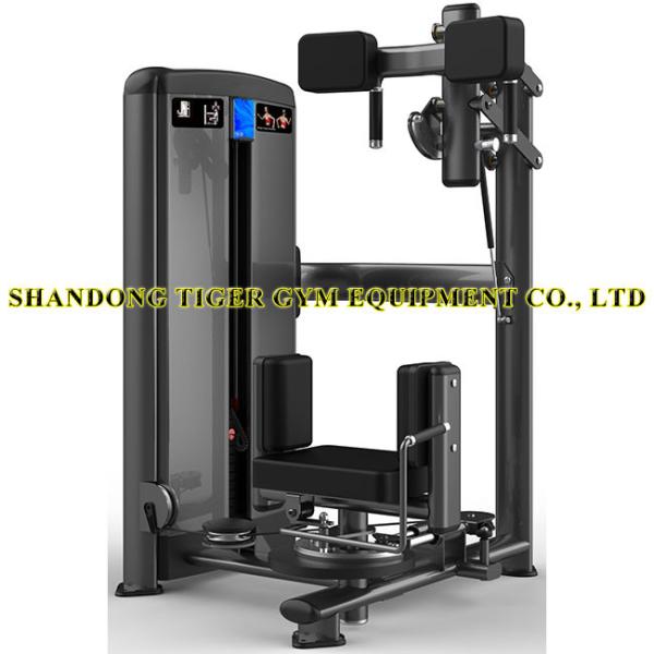 Fitness Equipment  Rotary Torso Rotation training machine for exercising psoas / abdominal muscles