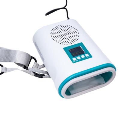 Mini Cryo Sculpting Machine Fat Freeze Slimming Machine For Home