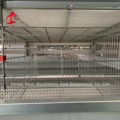 4 Tiers Chicken Cage Full-automatic Equipment Customized Solutions Available Adela