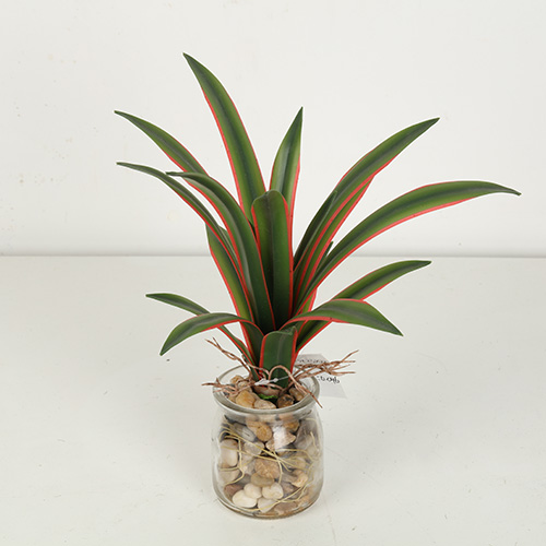 Mini Artificial Agave Bonsai With Glass Pot